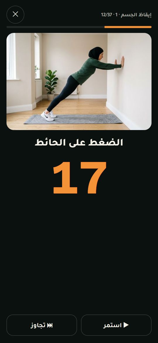 المرافقة: الصورة والمؤقت الكبير