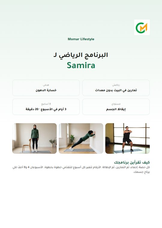 البرنامج كامل في PDF